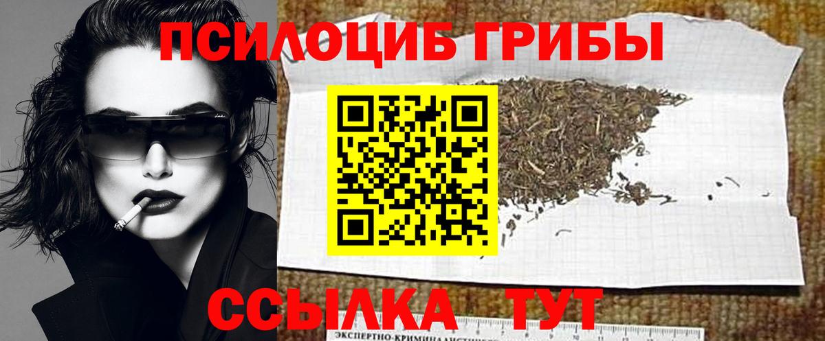 Когалым  Галлюциногенные грибы прущие грибы  Псилоцибиновые грибы Cubensis  Вход с VPN 